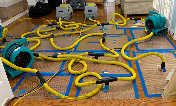 Professional Water Damage Restoration technician working in Niles, OH